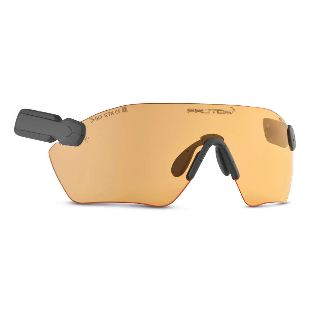 PROTOS® Integral Schutzbrille PROTOS® Integral Schutzbrille
