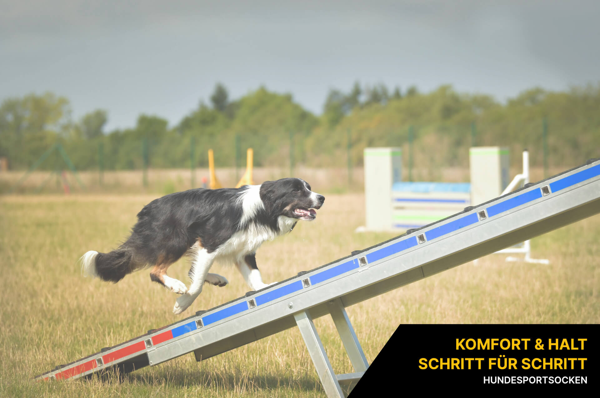 Hundesportsocken Hundesportsocken