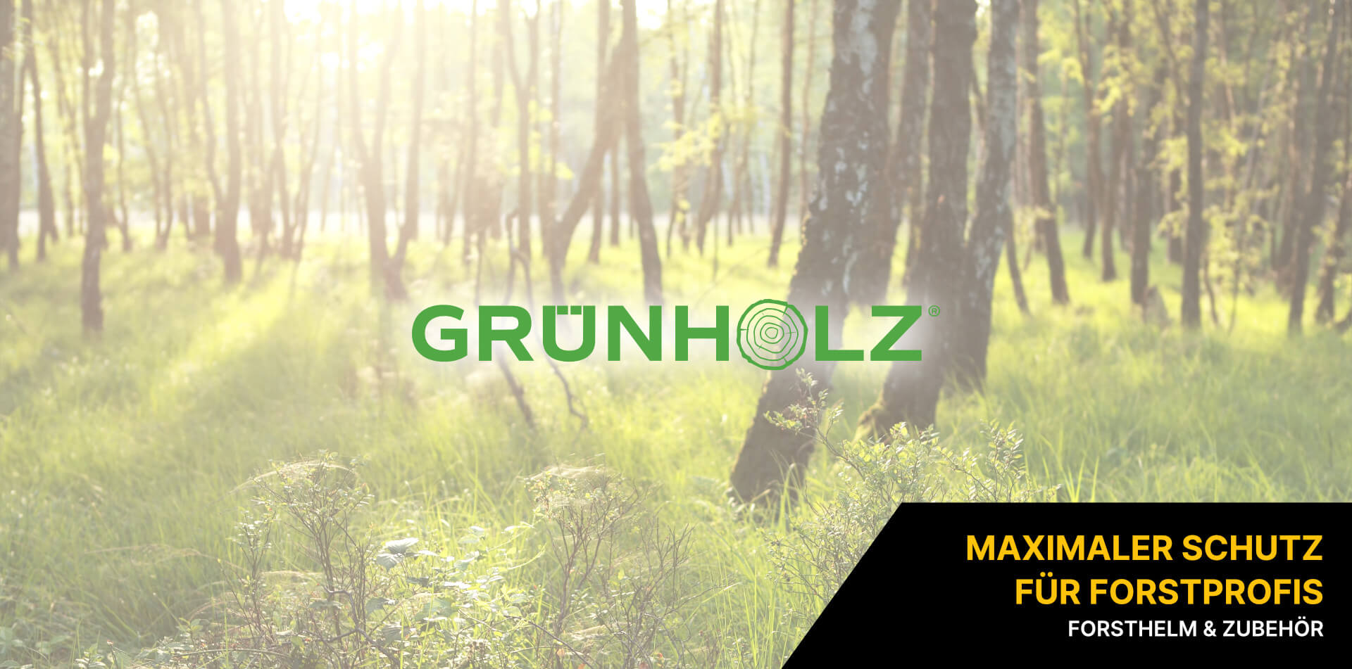 Grünholz Helm Grünholz Helm