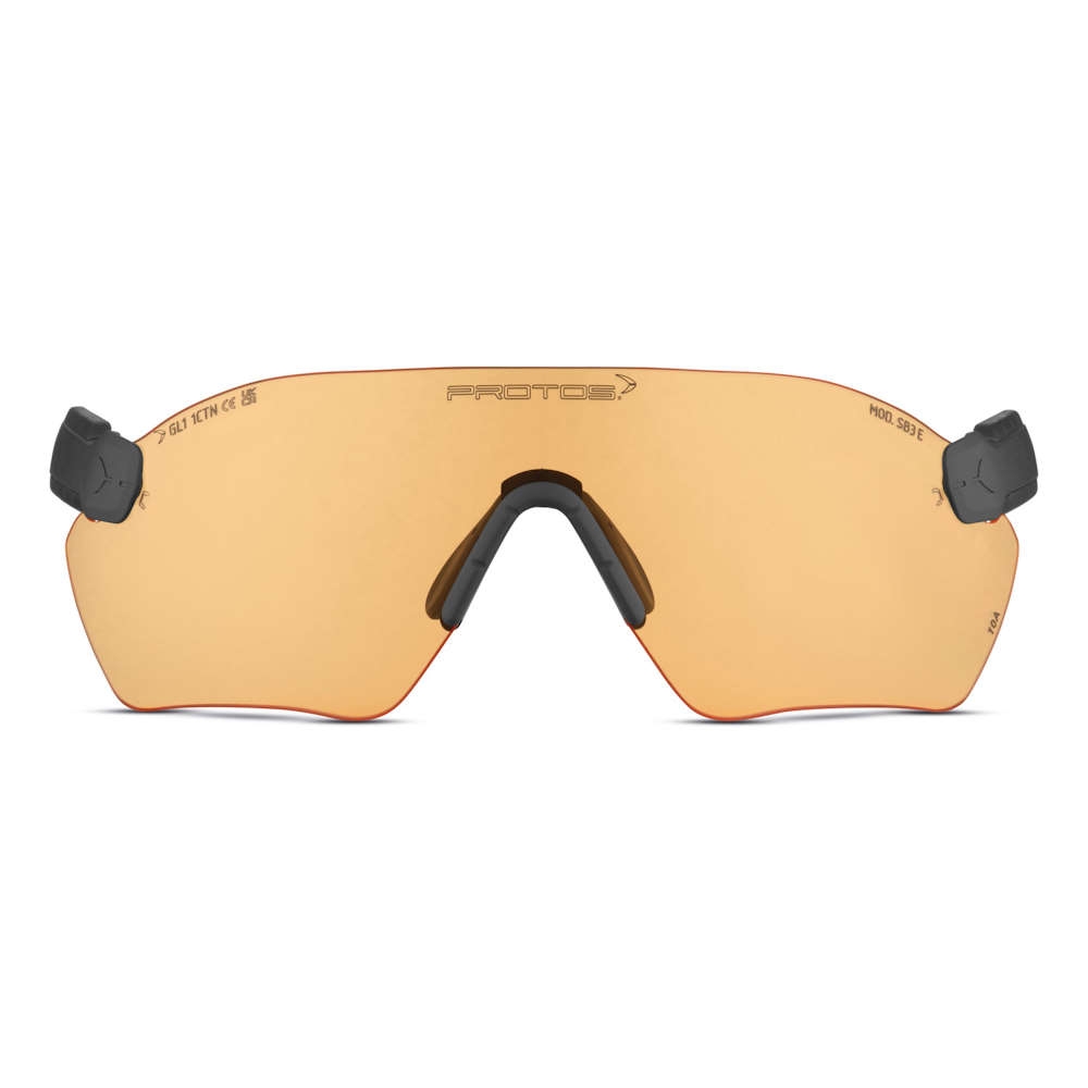 PROTOS® Integral Schutzbrille PROTOS® Integral Schutzbrille