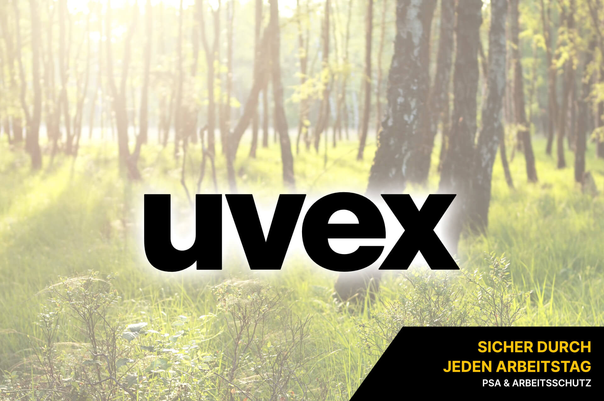 uvex uvex