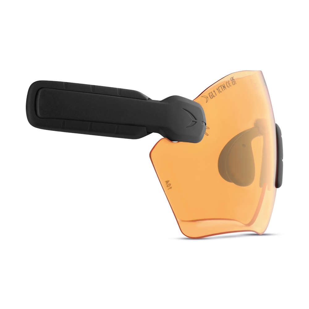 PROTOS® Integral Schutzbrille PROTOS® Integral Schutzbrille