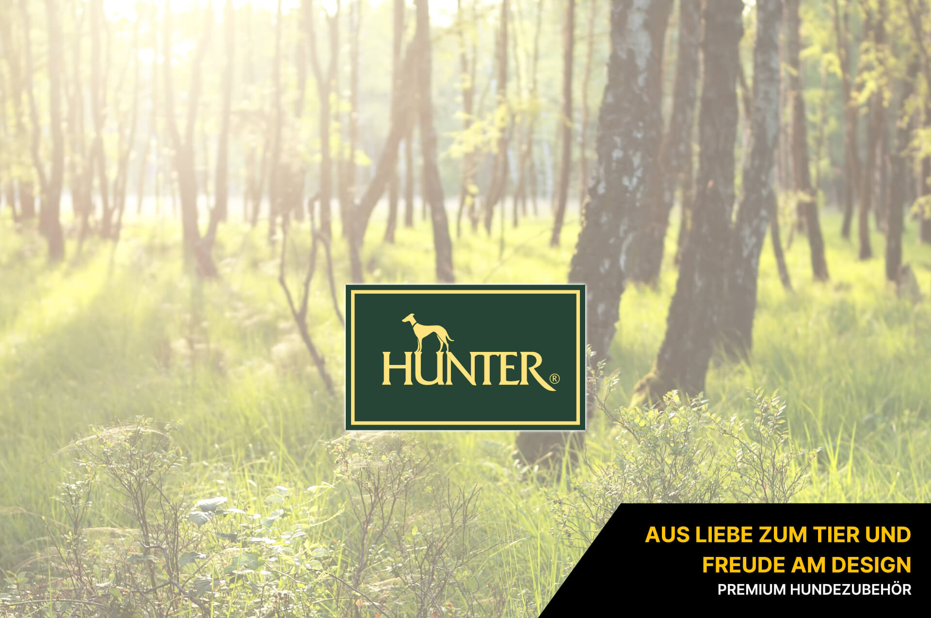 HUNTER HUNTER