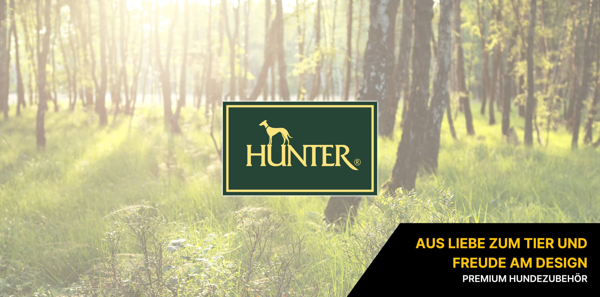HUNTER HUNTER
