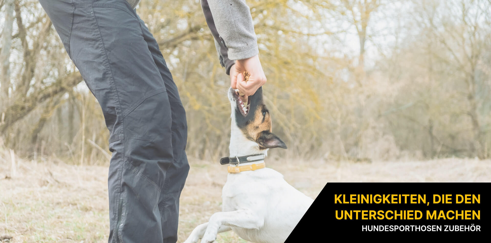 Hundesporthosen Zubehör Hundesporthosen Zubehör