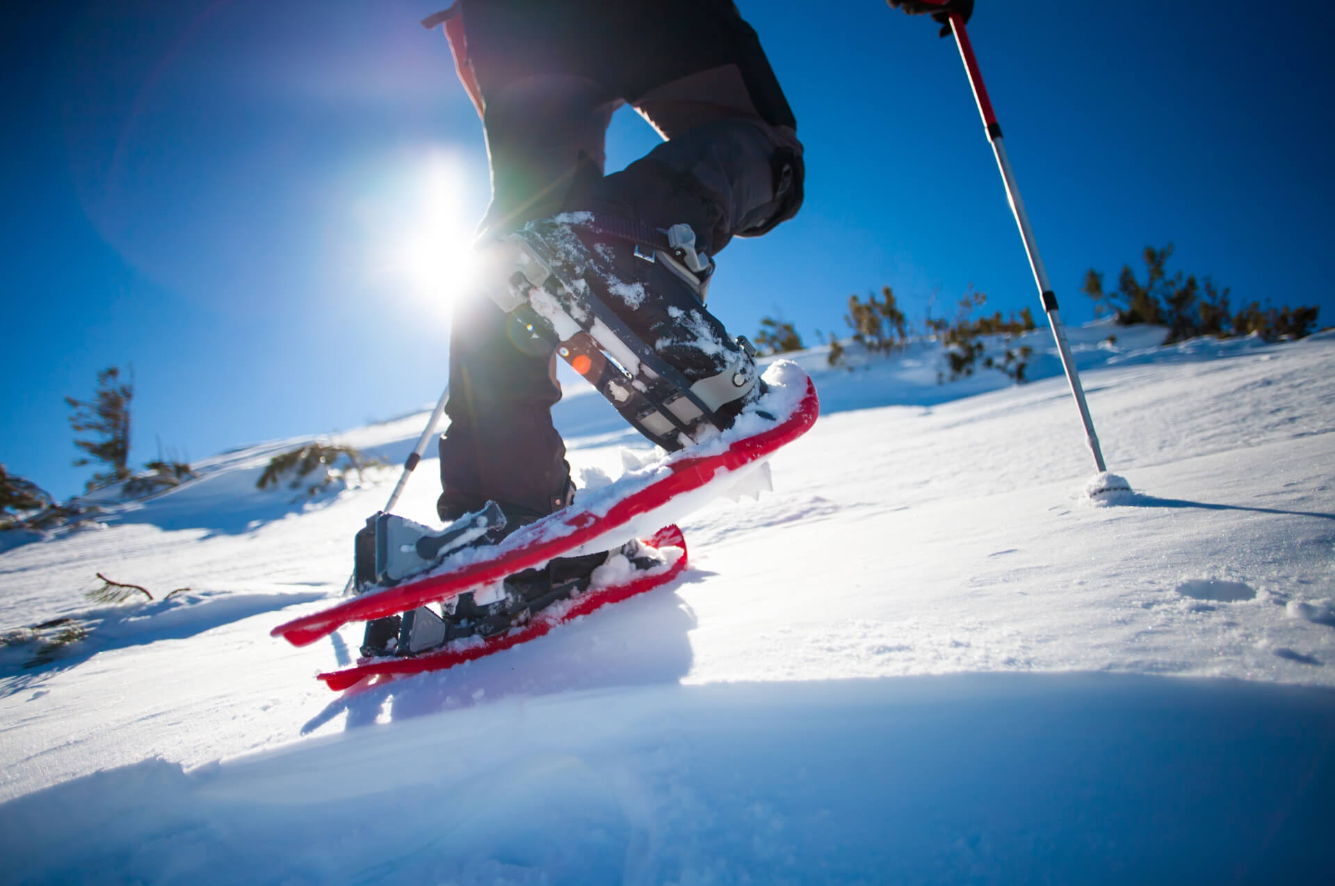 Schneeschuhwanderungen / Schneeschuhtouren