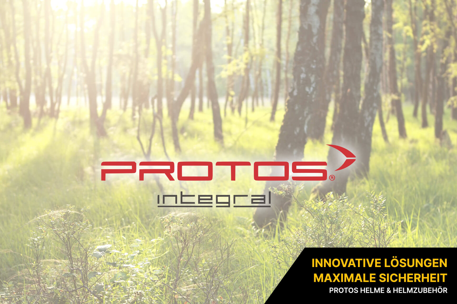 Protos Protos