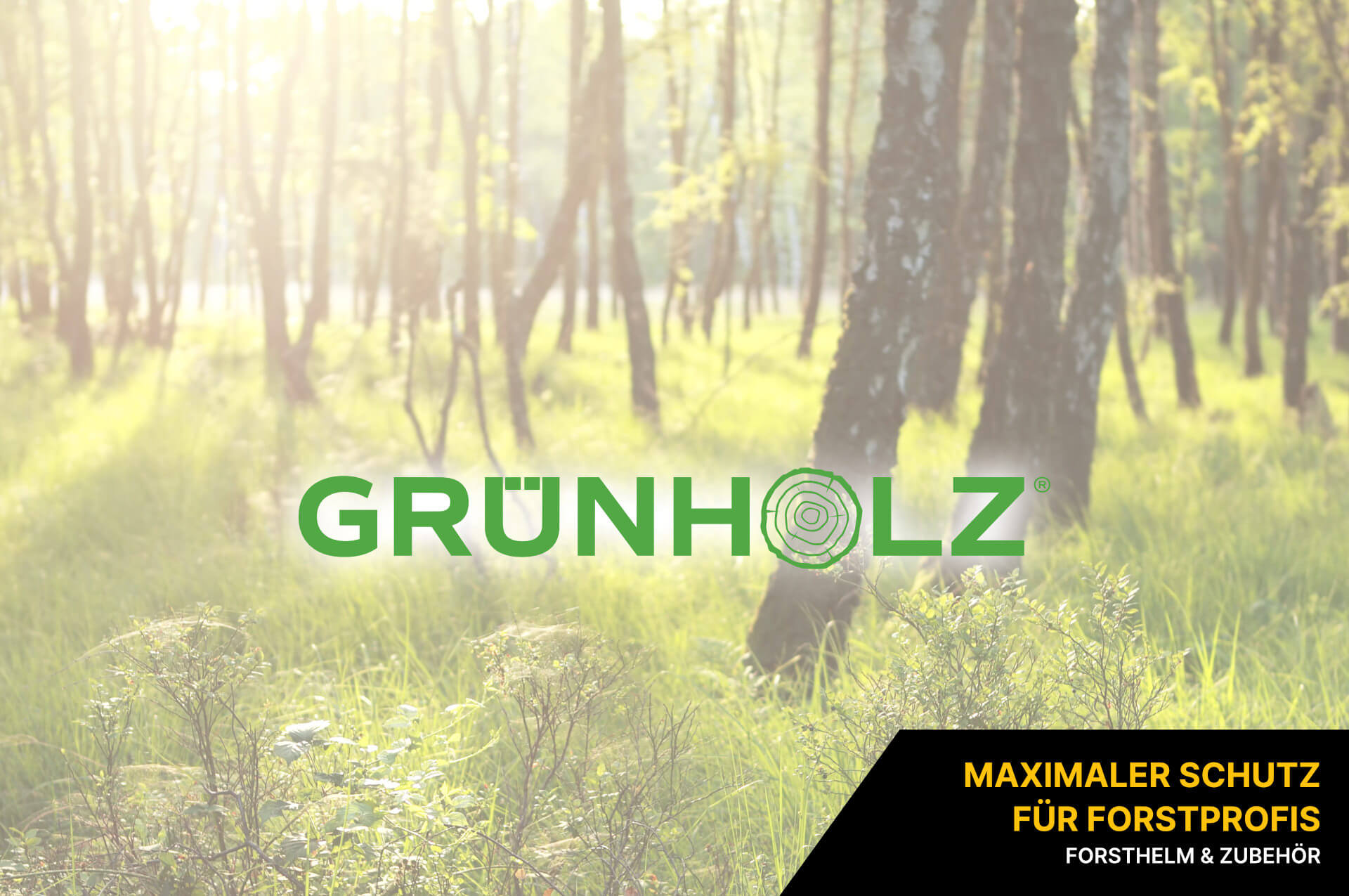 Grünholz Helm Grünholz Helm