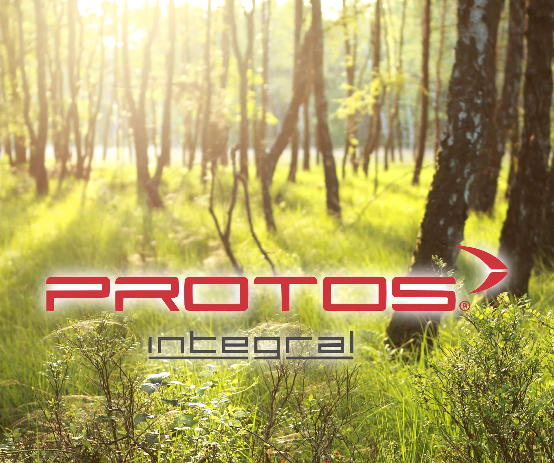 1e19dd5b0d8e355c6a1c54e26a8a19ffff859829 PROTOS®