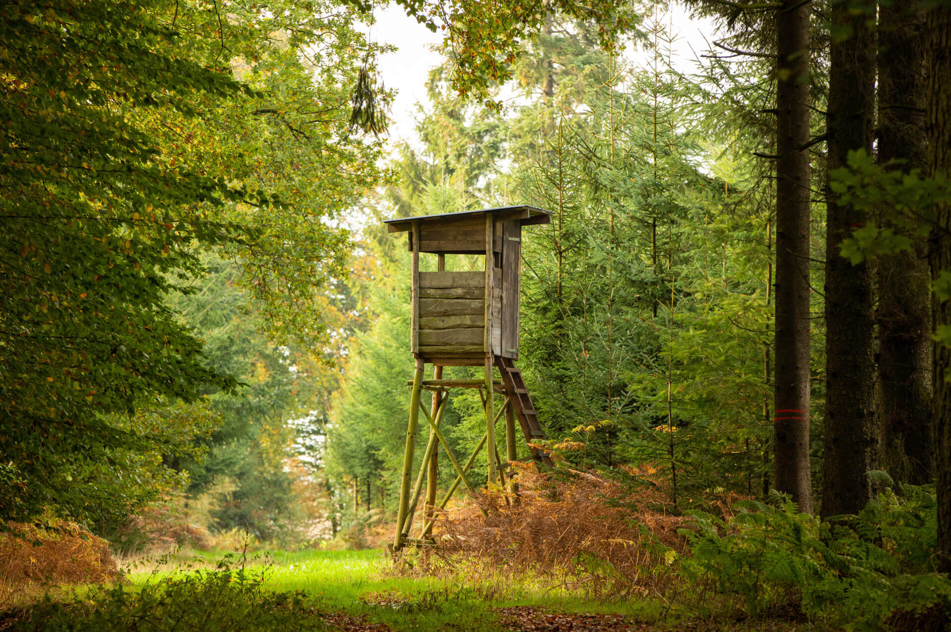 Revierarbeiten im Herbst für Jäger