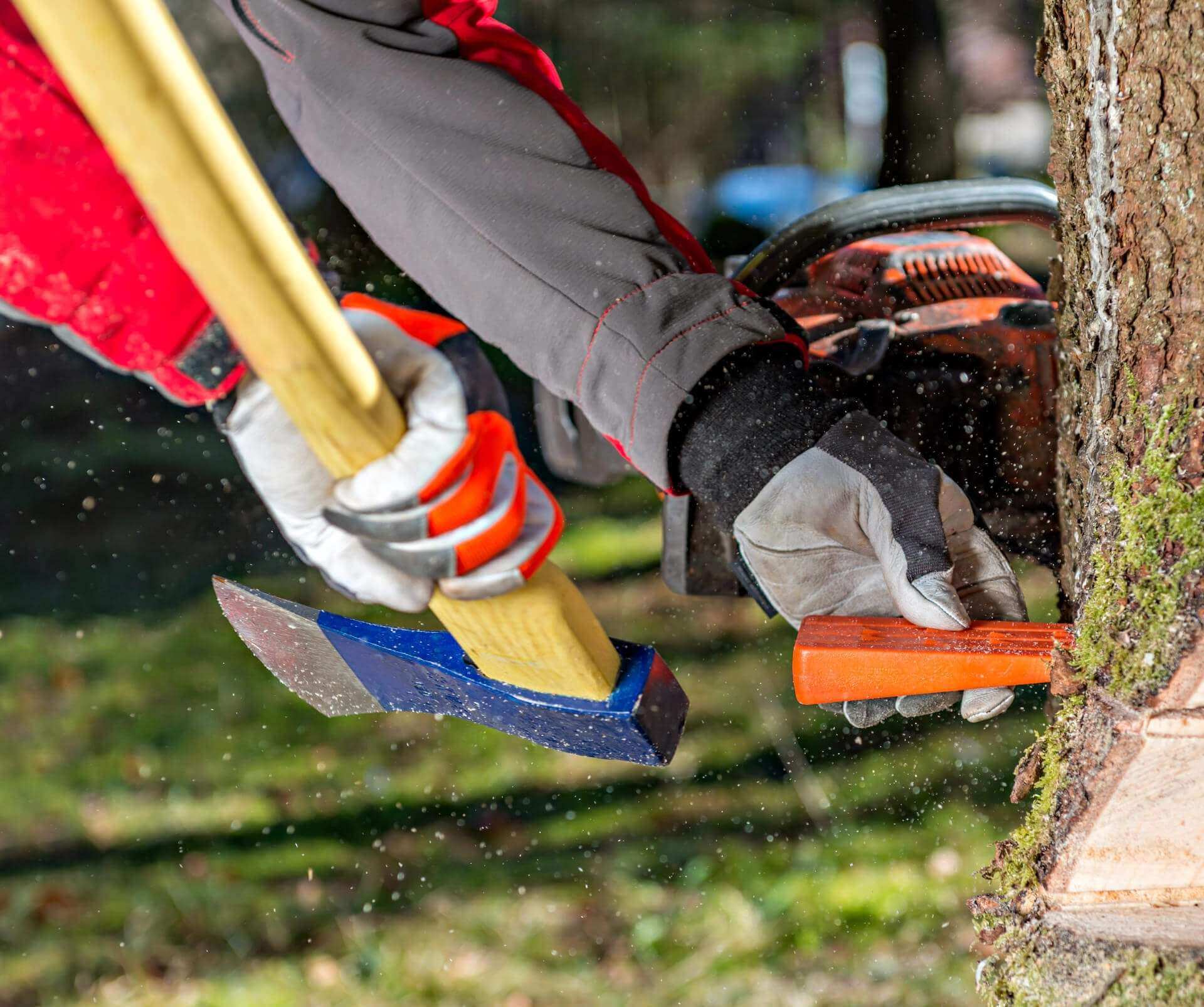 Forsthandschuhe und Unterarm Schnittschutz Forsthandschuhe und Unterarm Schnittschutz
