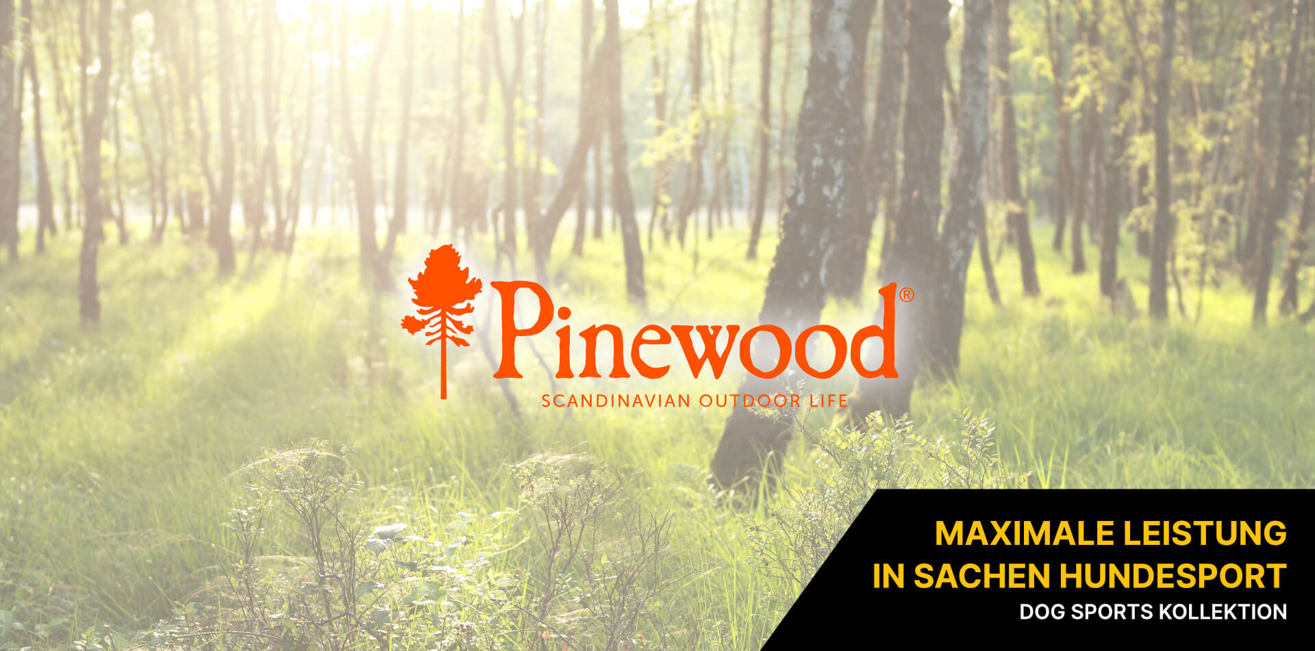 Pinewood Dog Sports Pinewood Dog Sports