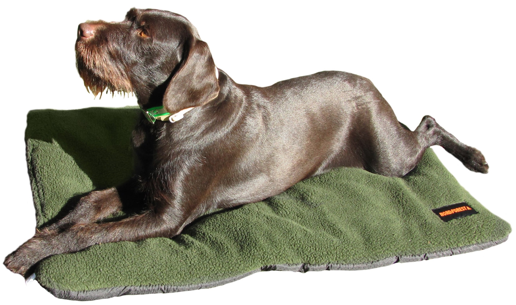 Nordforest Hunting Faserpelz-Hundedecke Nordforest Hunting Faserpelz-Hundedecke