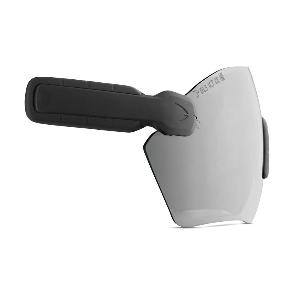 PROTOS® Integral Schutzbrille