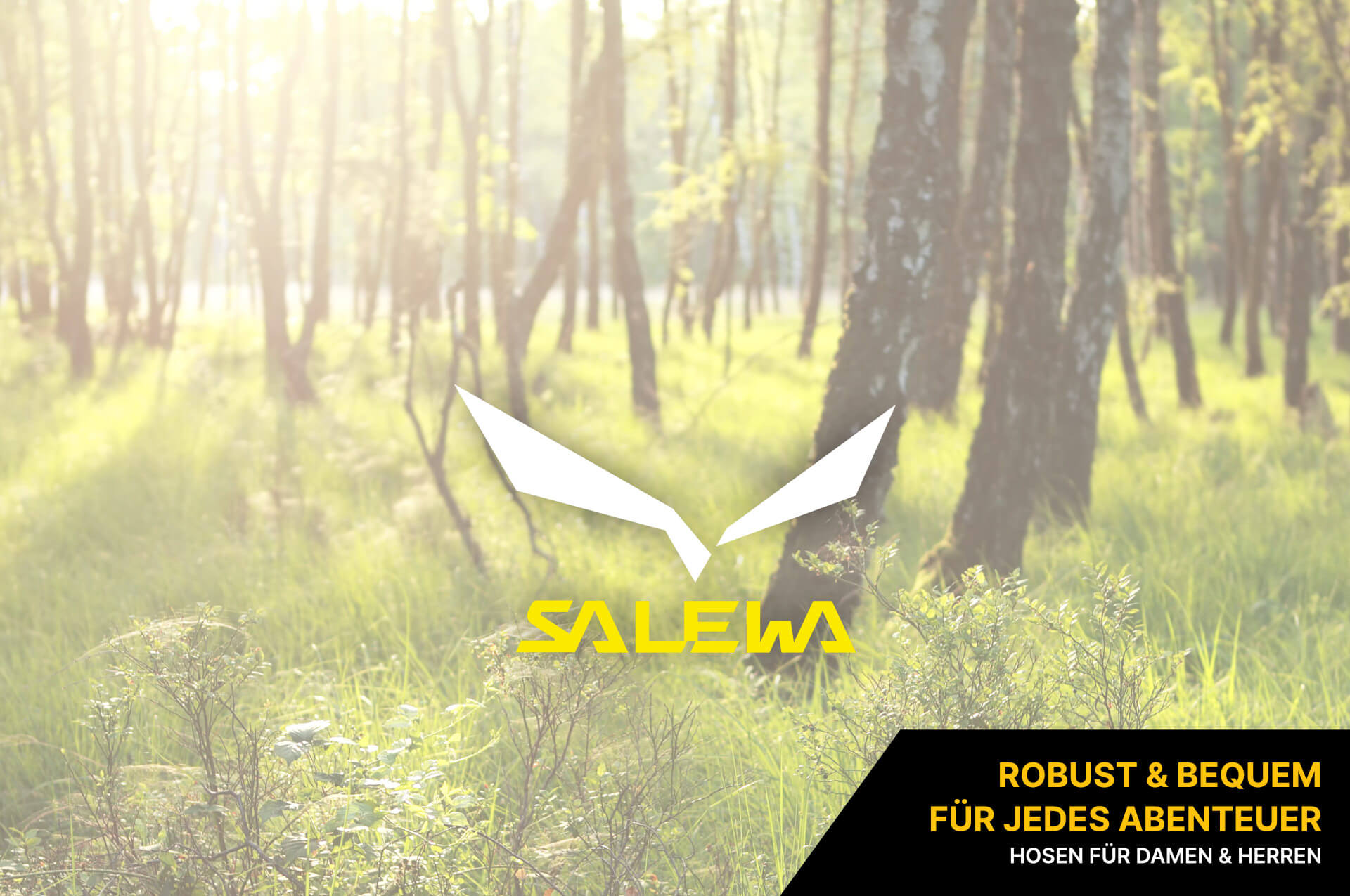 Salewa Hosen Salewa Hosen
