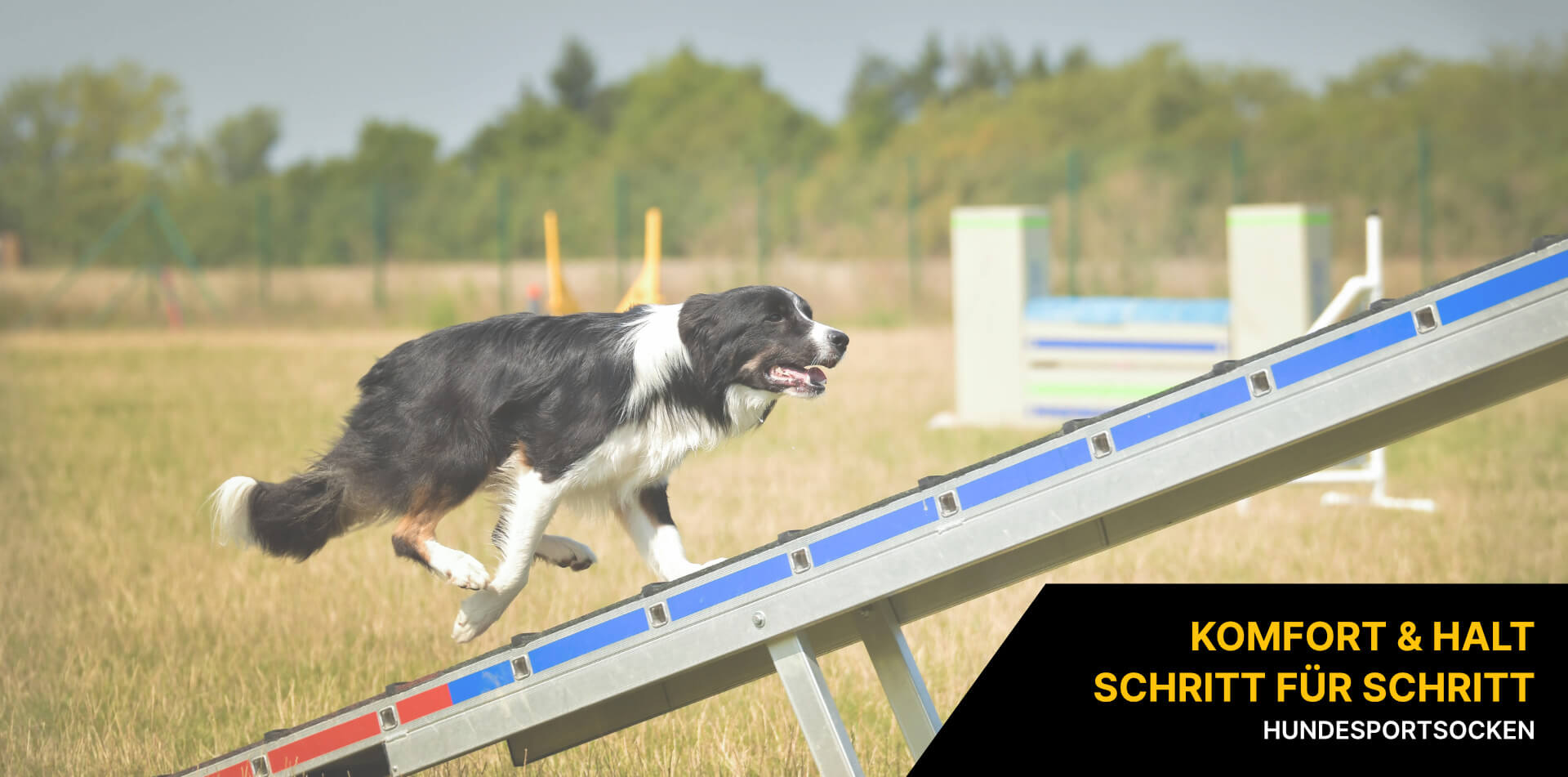 Hundesportsocken Hundesportsocken