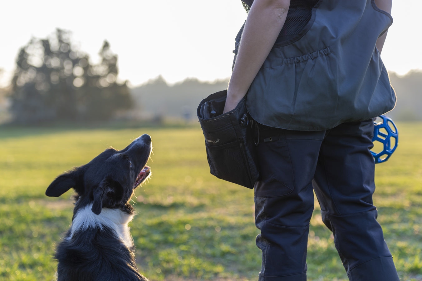 Pinewood® Dogsport Bag Small Pinewood® Dogsport Bag Small
