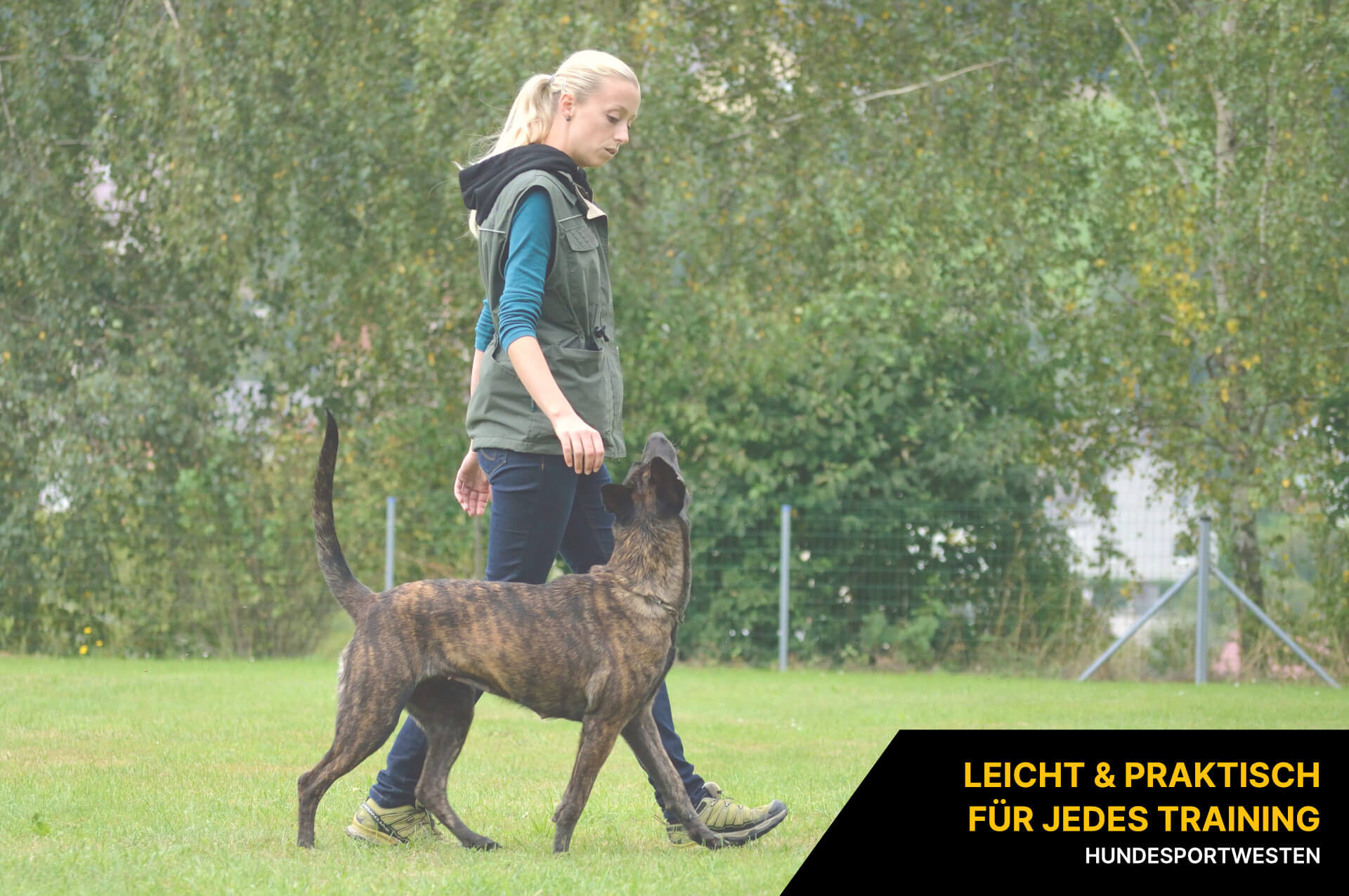 Hundesportwesten Hundesportwesten