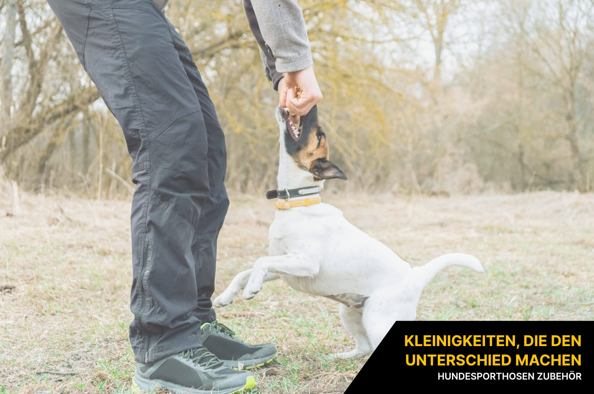 Hundesporthosen Zubehör Hundesporthosen Zubehör