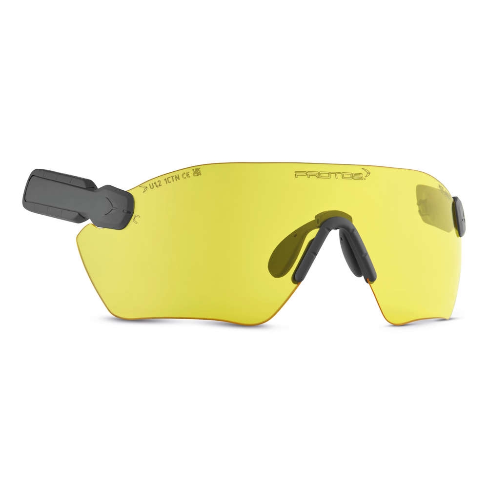 PROTOS® Integral Schutzbrille