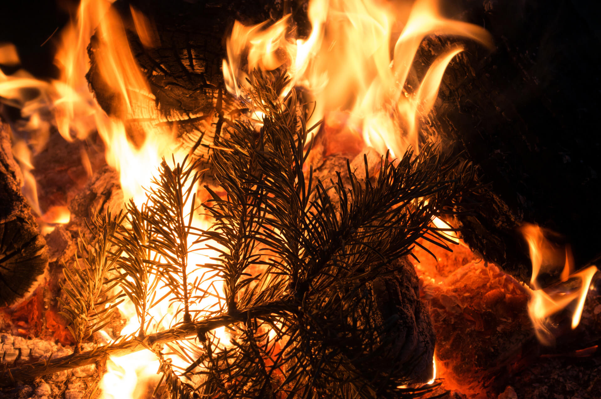 Brandursache Weihnachtsbaum / Adventskranz