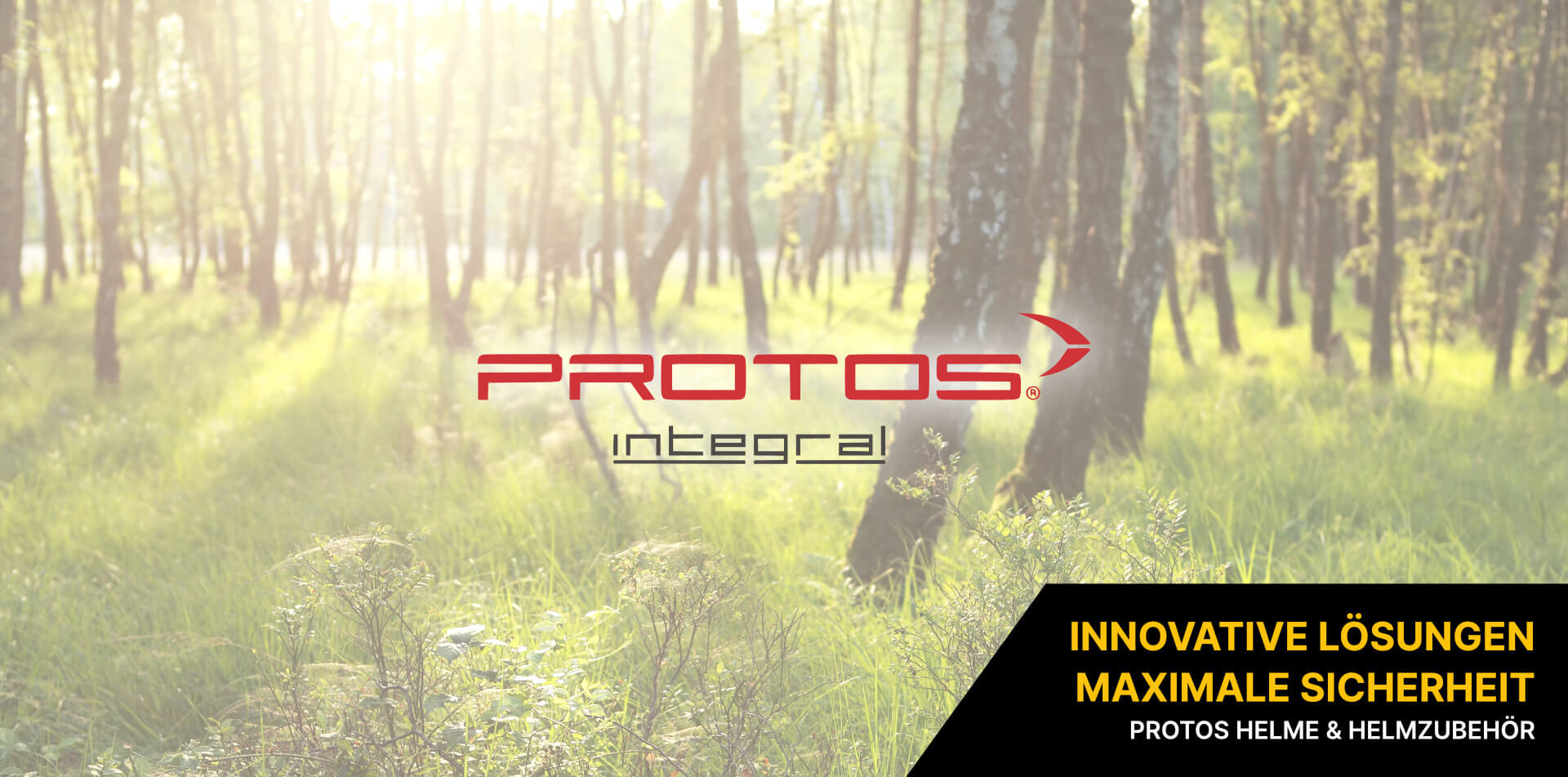 Protos Protos