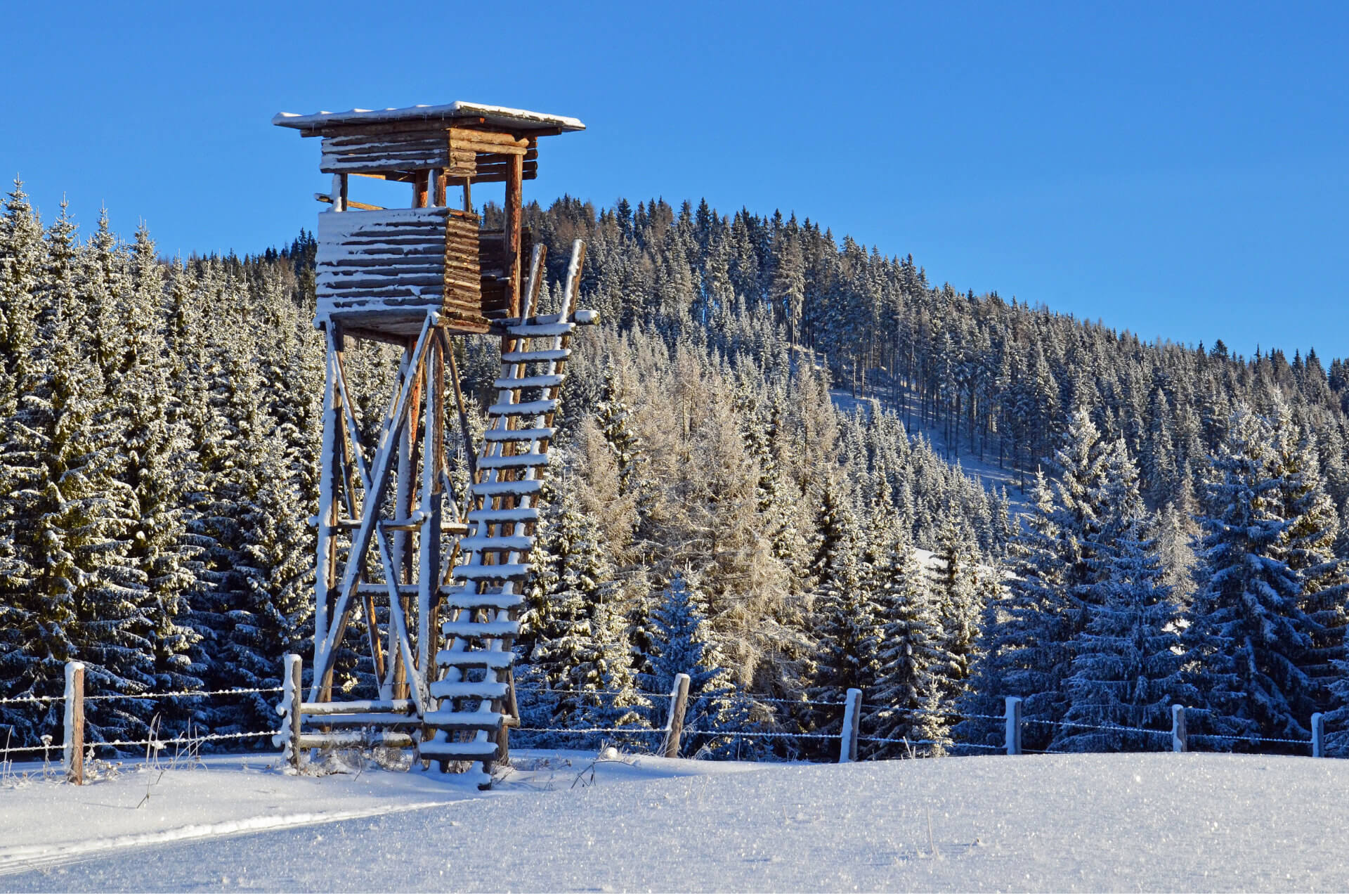 Revierarbeiten im Winter