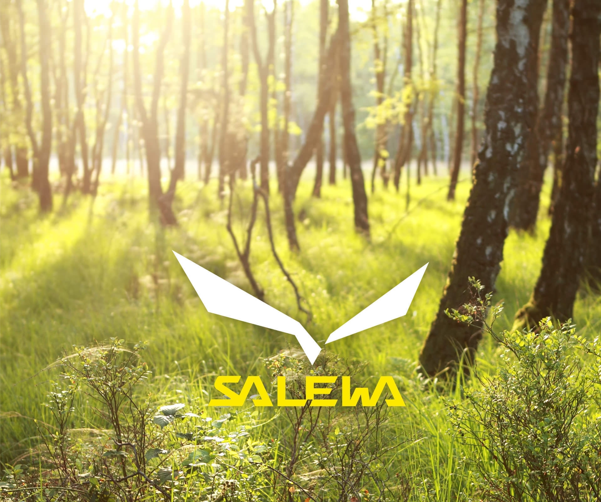 20454e4525c0acde4103fafd99abc985b4808529 Salewa