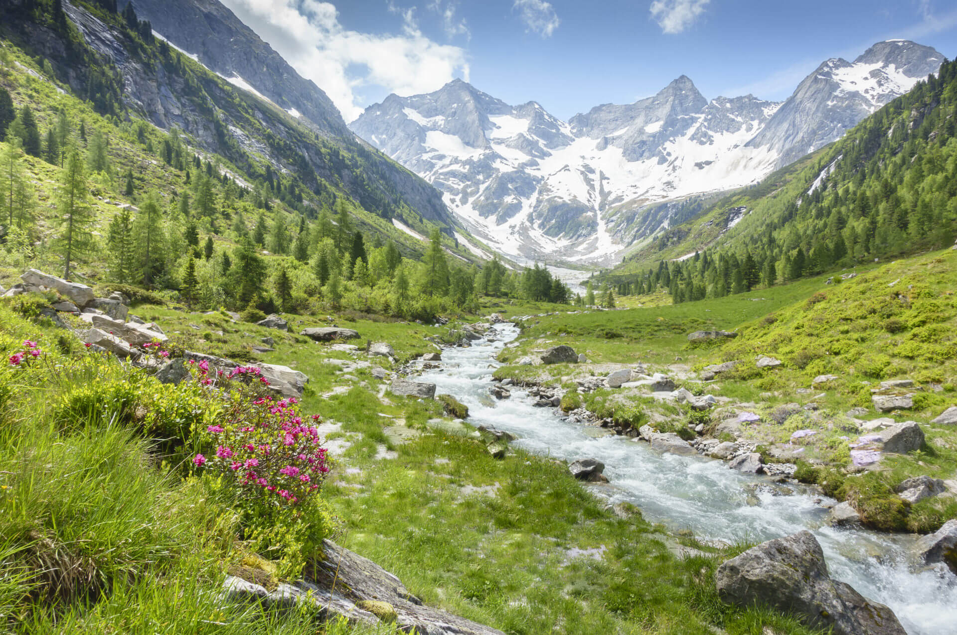 Wandern im Sommer