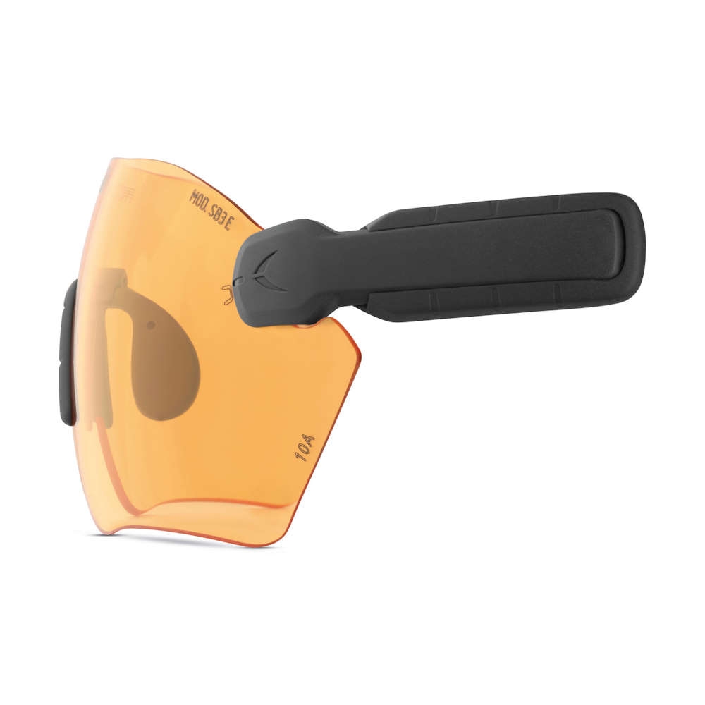 PROTOS® Integral Schutzbrille PROTOS® Integral Schutzbrille