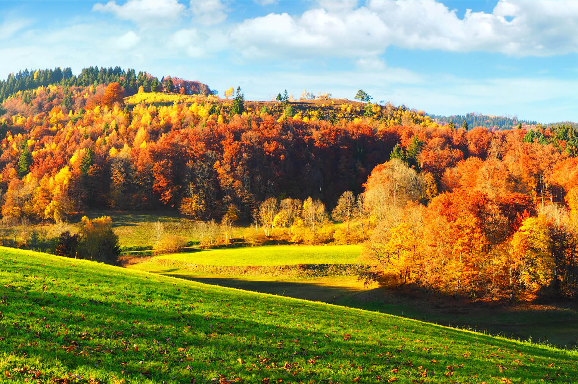 Beliebte Ausflugsziele im Herbst in Deutschland
