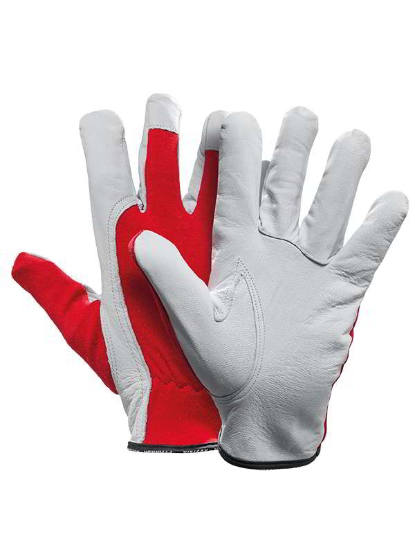 Allround Handschuh Allround Handschuh