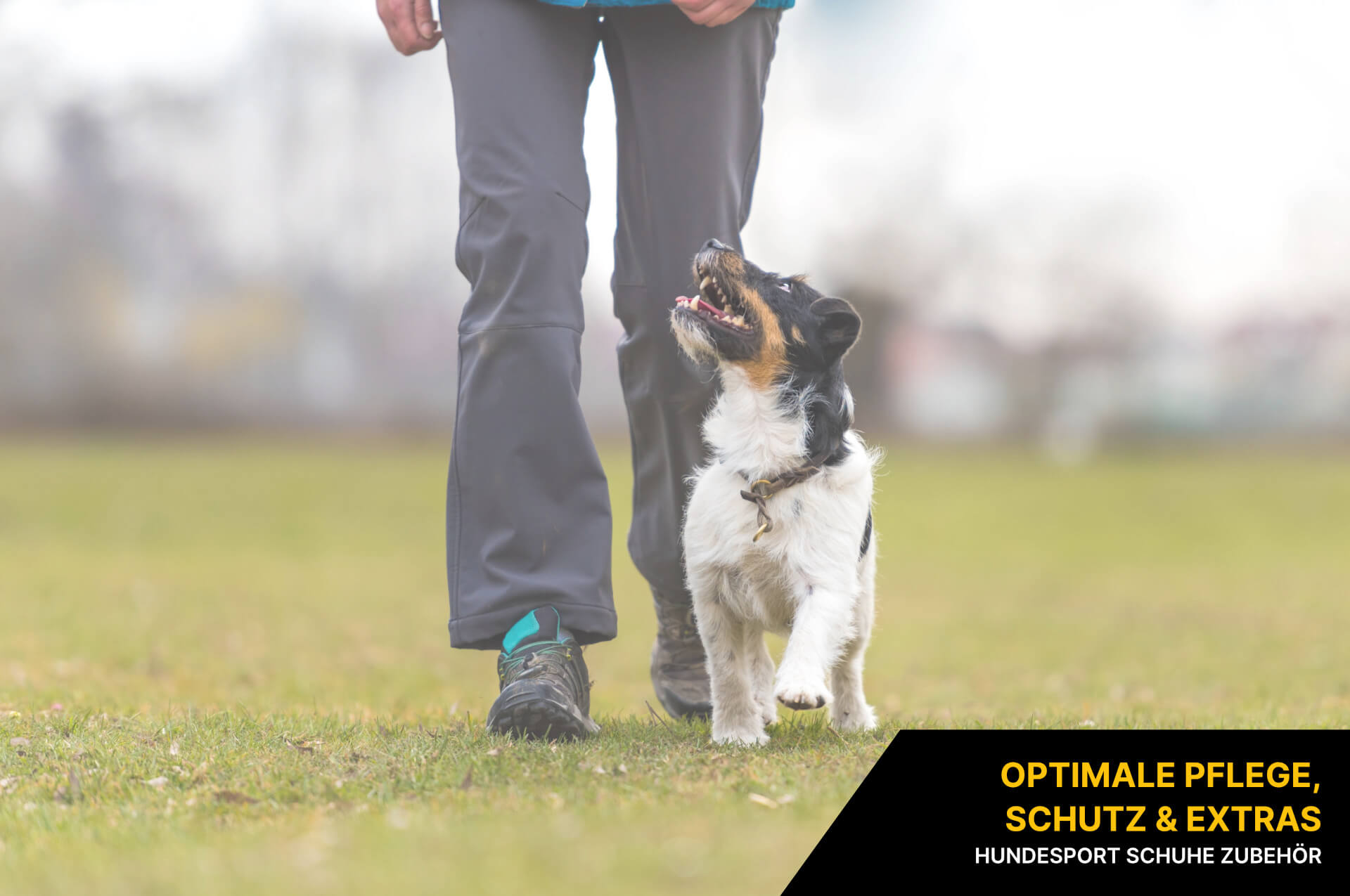 Hundesport Schuhe Zubehör Hundesport Schuhe Zubehör