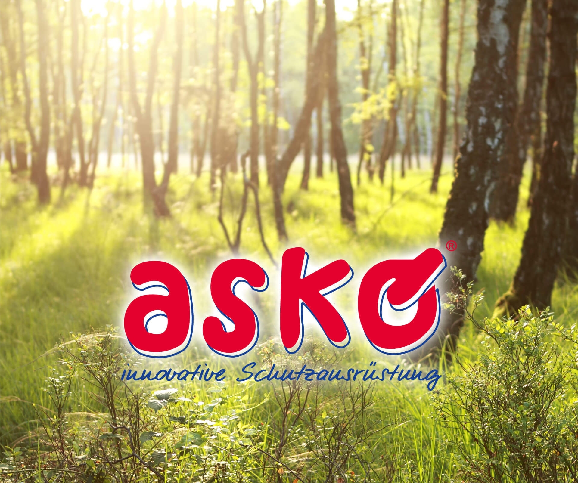 11ec071a4616a23264006e837403ac1725222403 ASKÖ Köninger