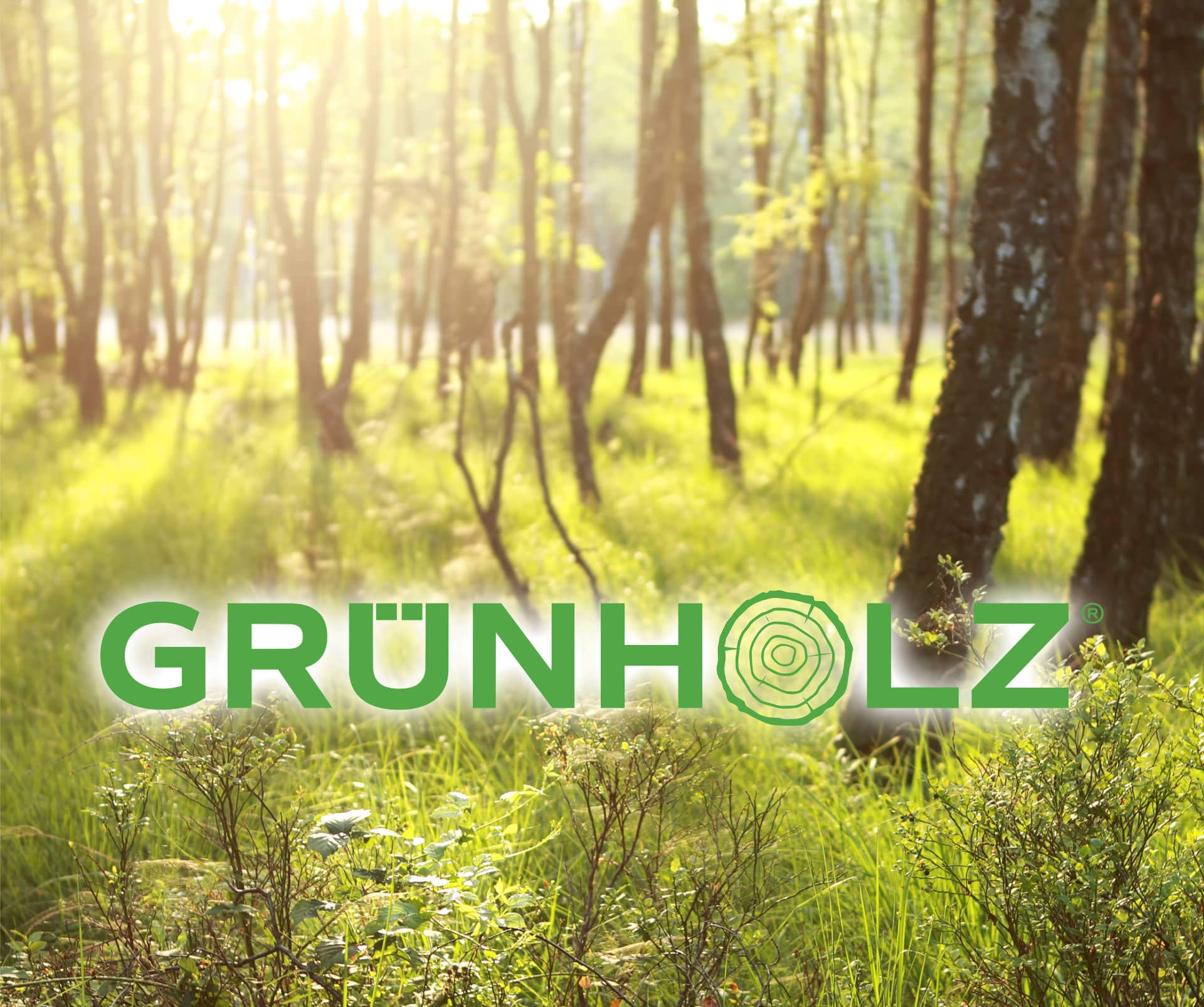 Grünholz Grünholz