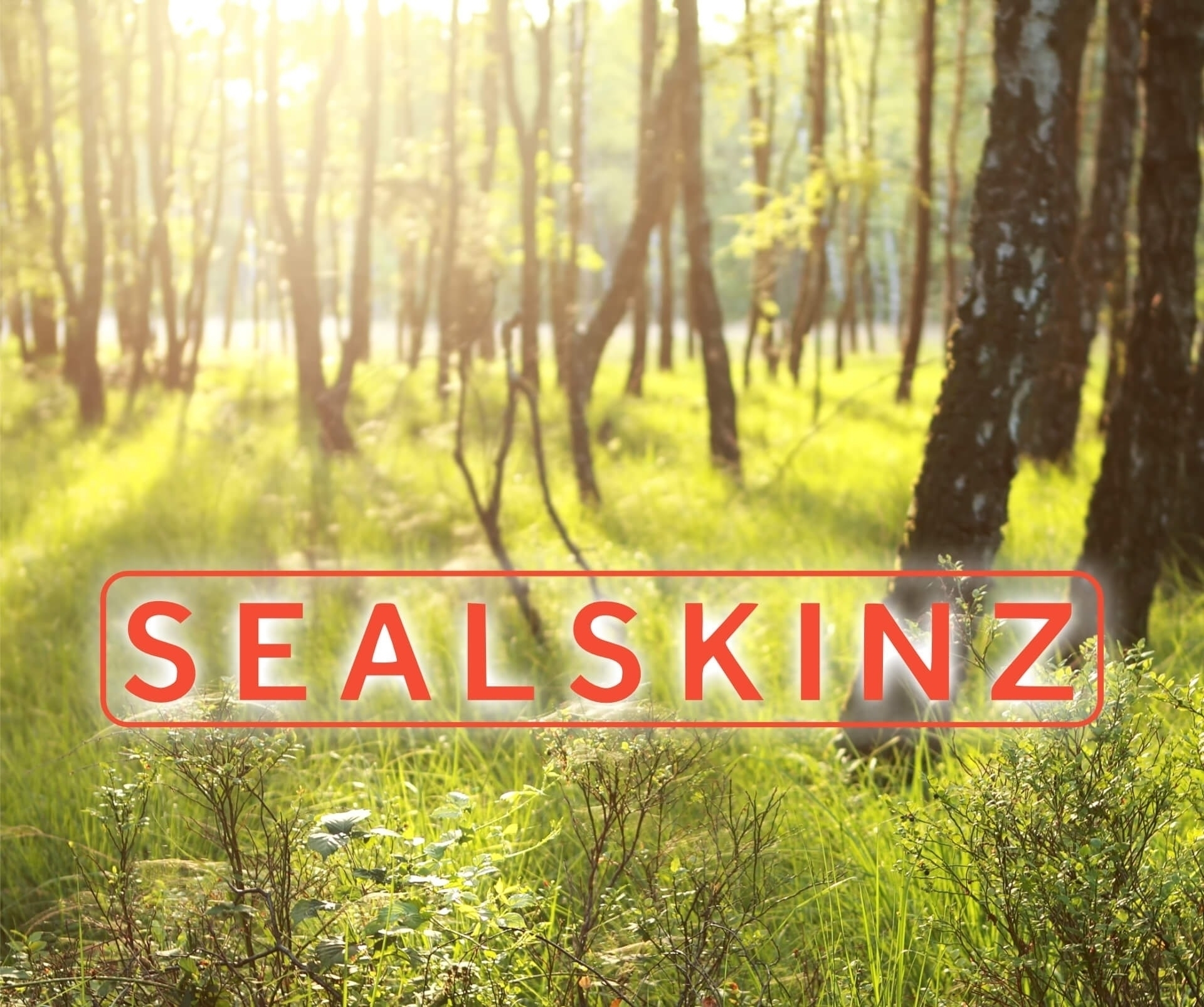 9e1face196b59a76af30e233a474d4205e444829 Sealskinz