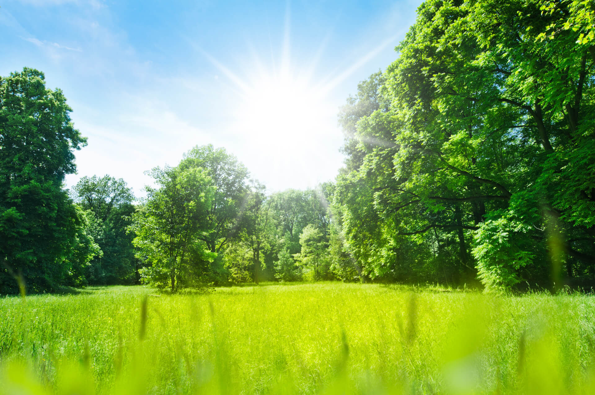 Revierarbeiten im Sommer