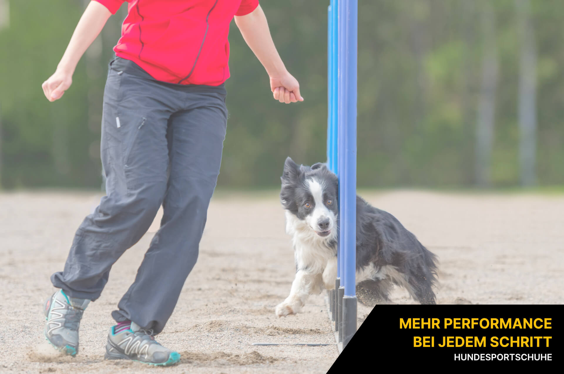 Hundesportschuhe Hundesportschuhe