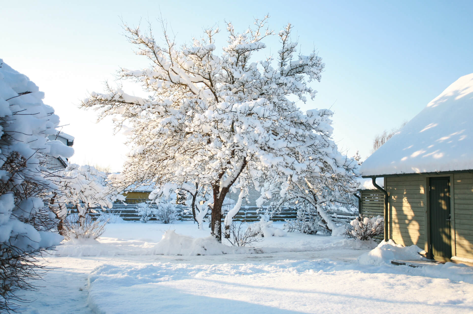 Gartenarbeiten im Winter