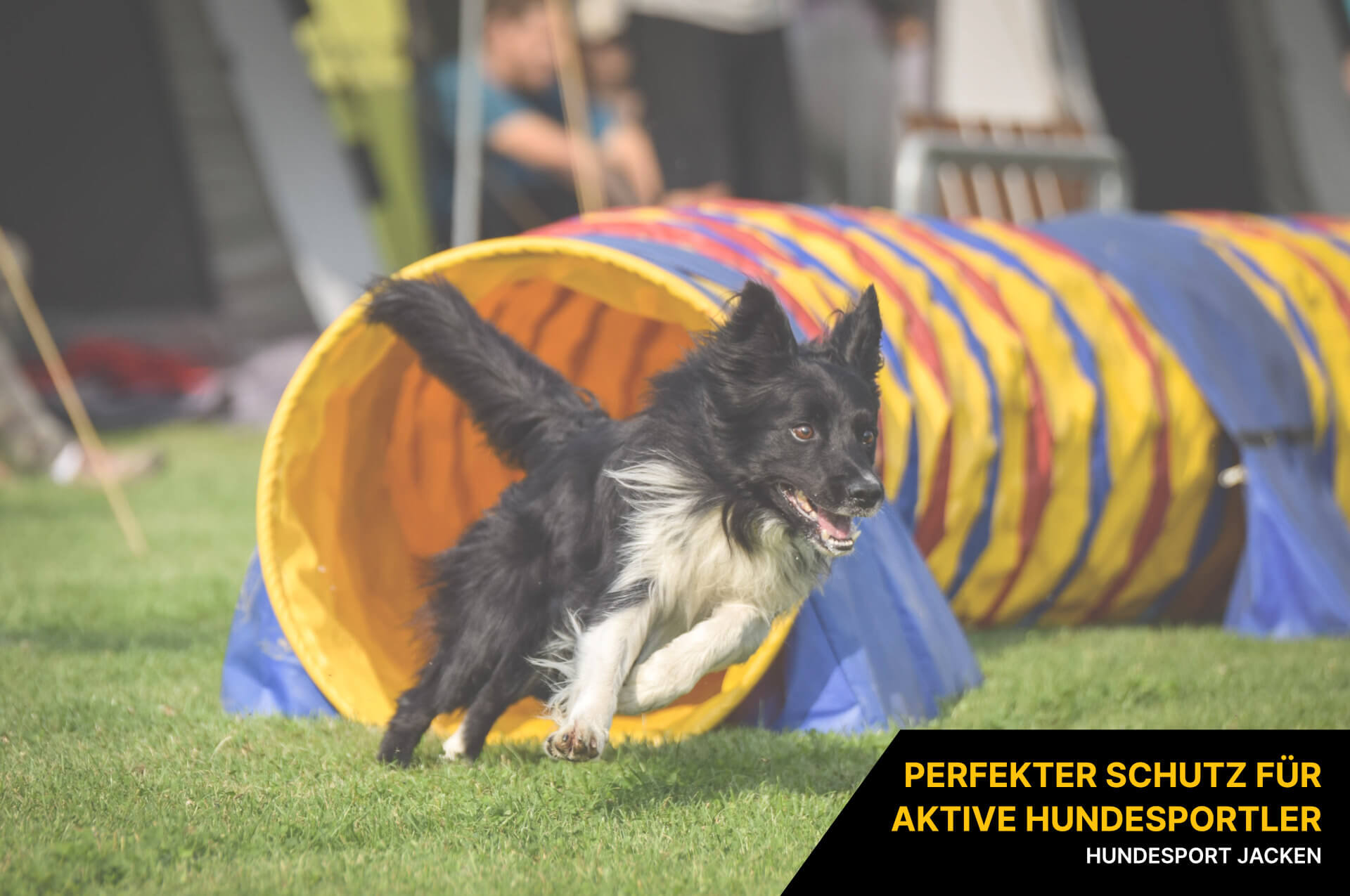 Hundesport Jacken Hundesport Jacken
