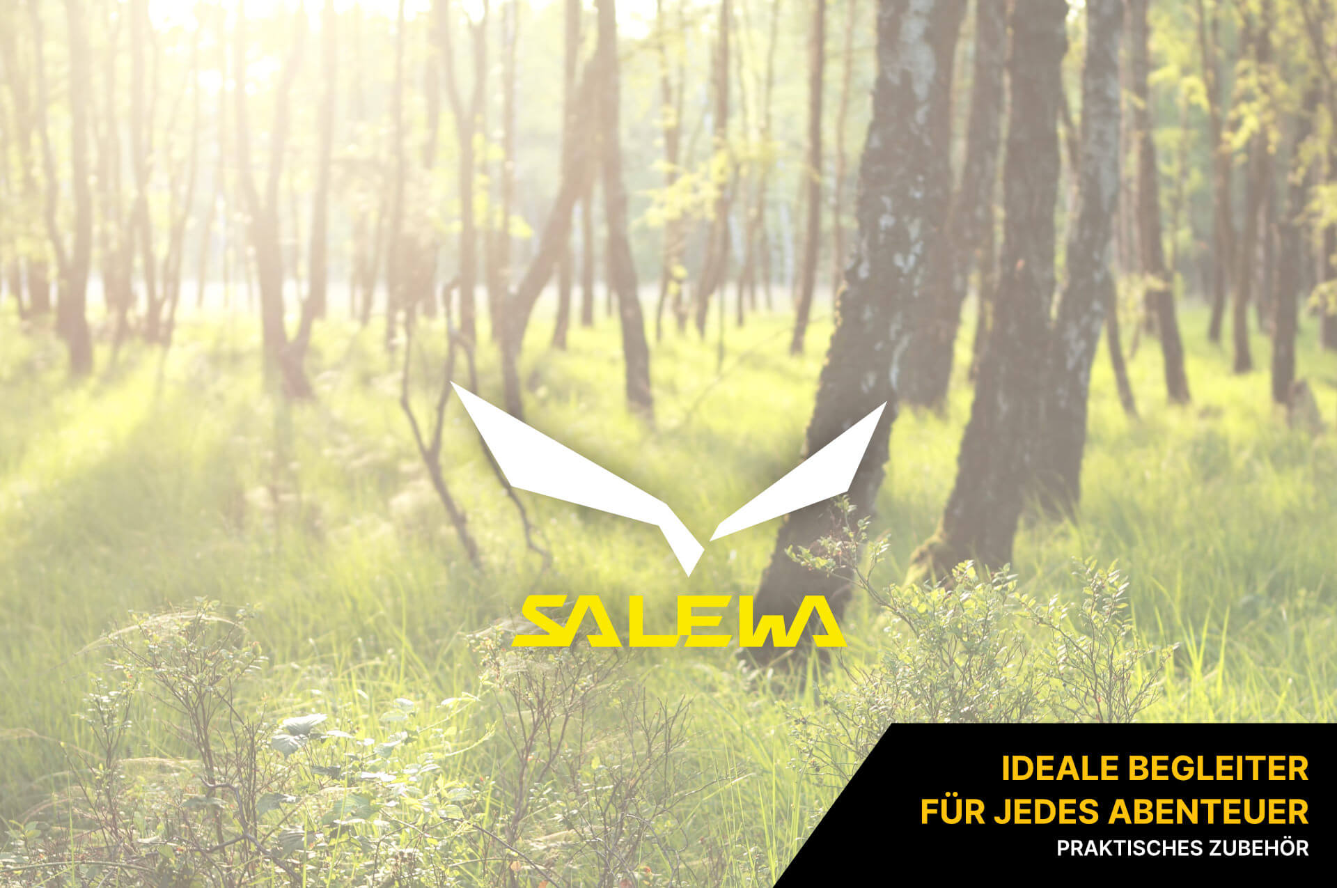 Salewa Zubehör Salewa Zubehör