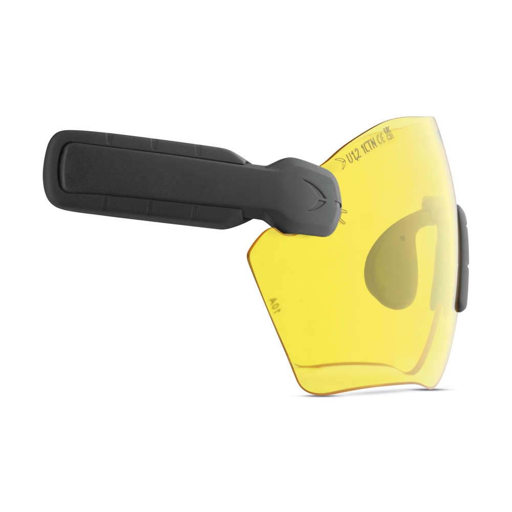 PROTOS® Integral Schutzbrille PROTOS® Integral Schutzbrille