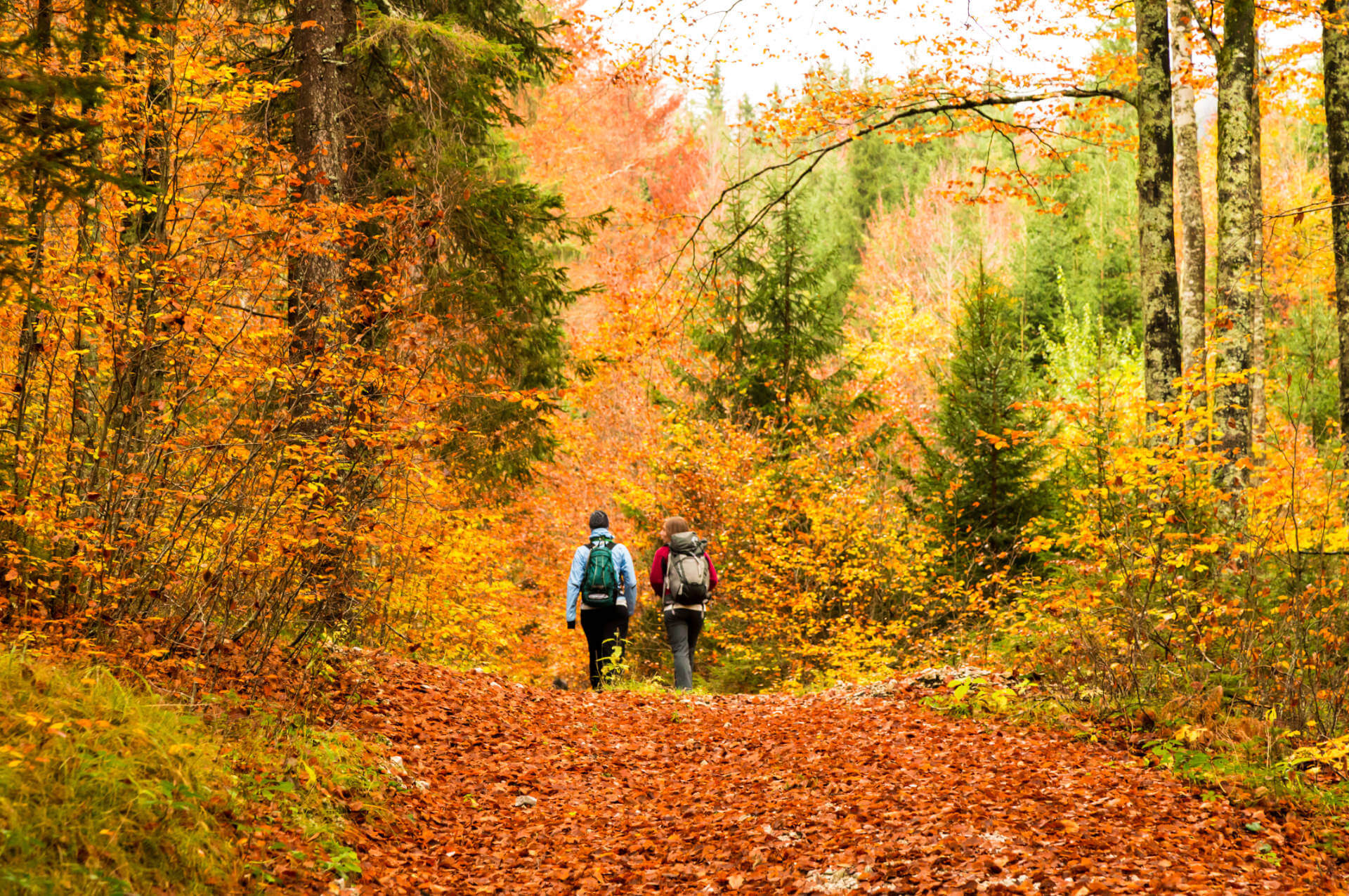 Wandern im Herbst