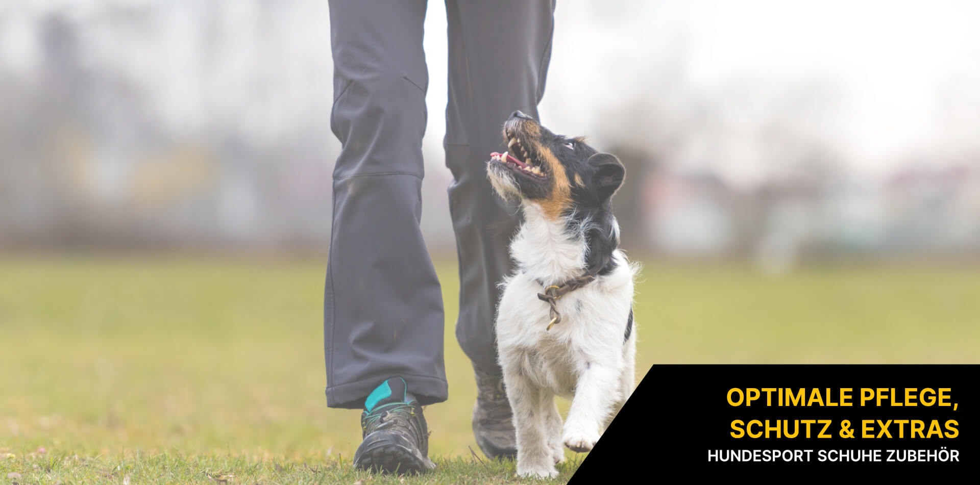 Hundesport Schuhe Zubehör Hundesport Schuhe Zubehör